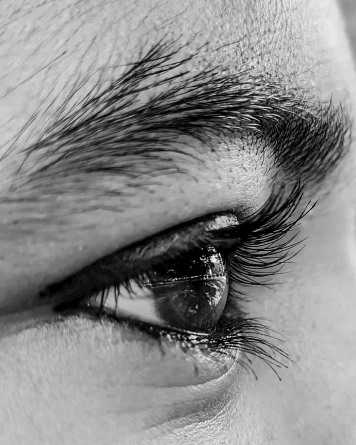 Black and white macro photograph of an eye, lashes and brow